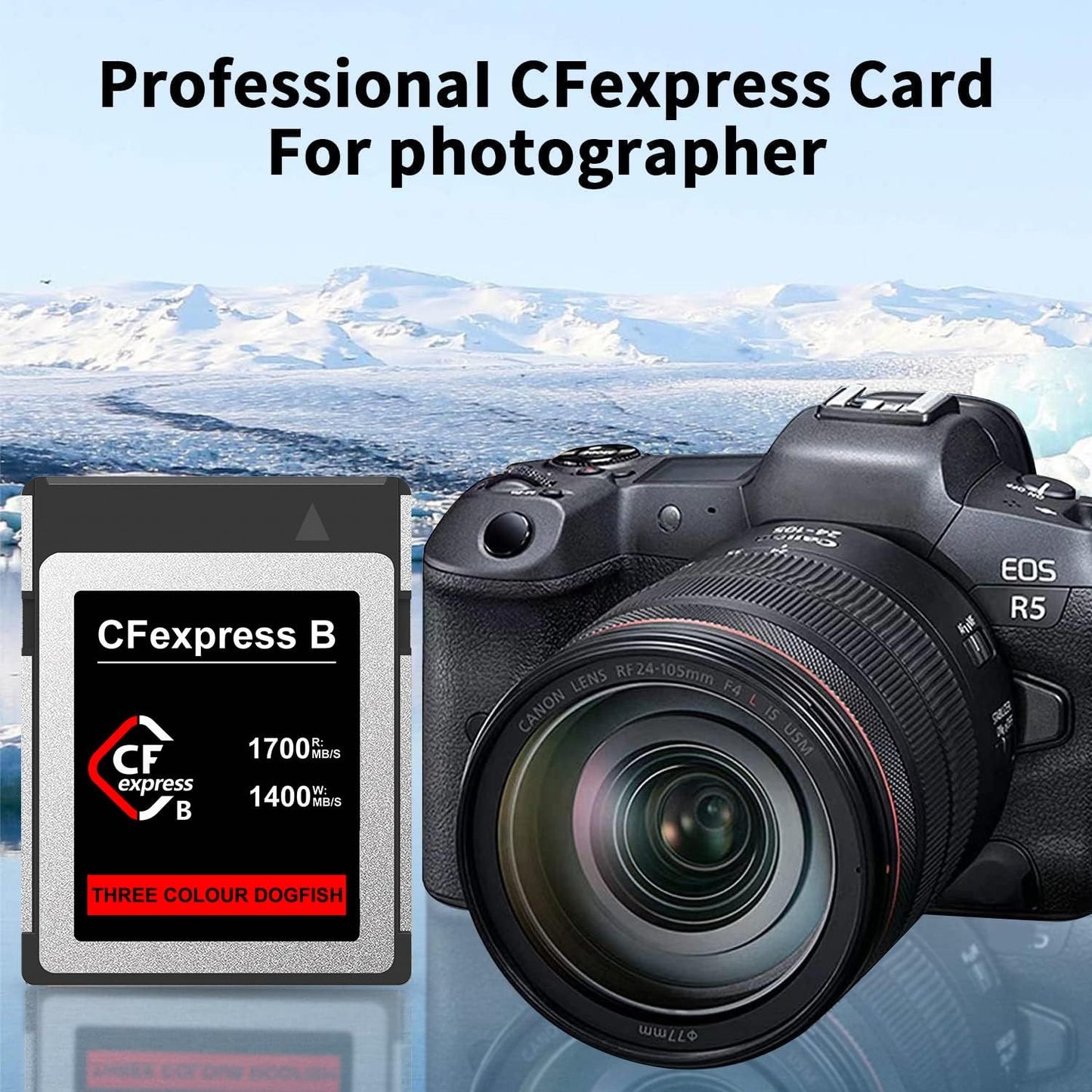 Dogfish CFexpress Type B Memory Card for Camcorders, High-Speed Up to 1700MB/s, for 8K 4K RAW Photo & Video, for Professional-Grade Cameras Nikon Canon Panasonic