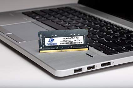 THREE COLOUR DOGFISH RAM DDR4 2400MHz (PC4-19200) Desktop PC Memory 1.2V 4GB-16GB