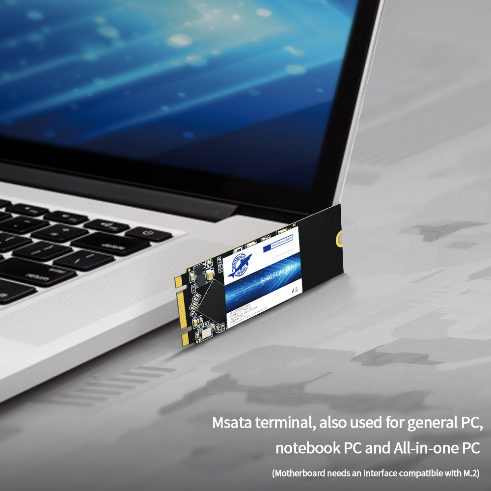 THREE COLOUR DOGFISH M.2 2260 SSD Sata NGFF Internal Solid State Drive 60GB—4TB