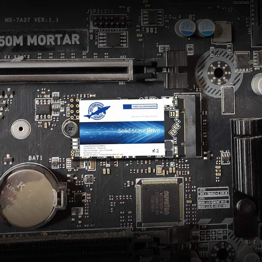 THREE COLOUR DOGFISH M.2 2242 Ngff Sata Solid State Drive 64GB-4TB