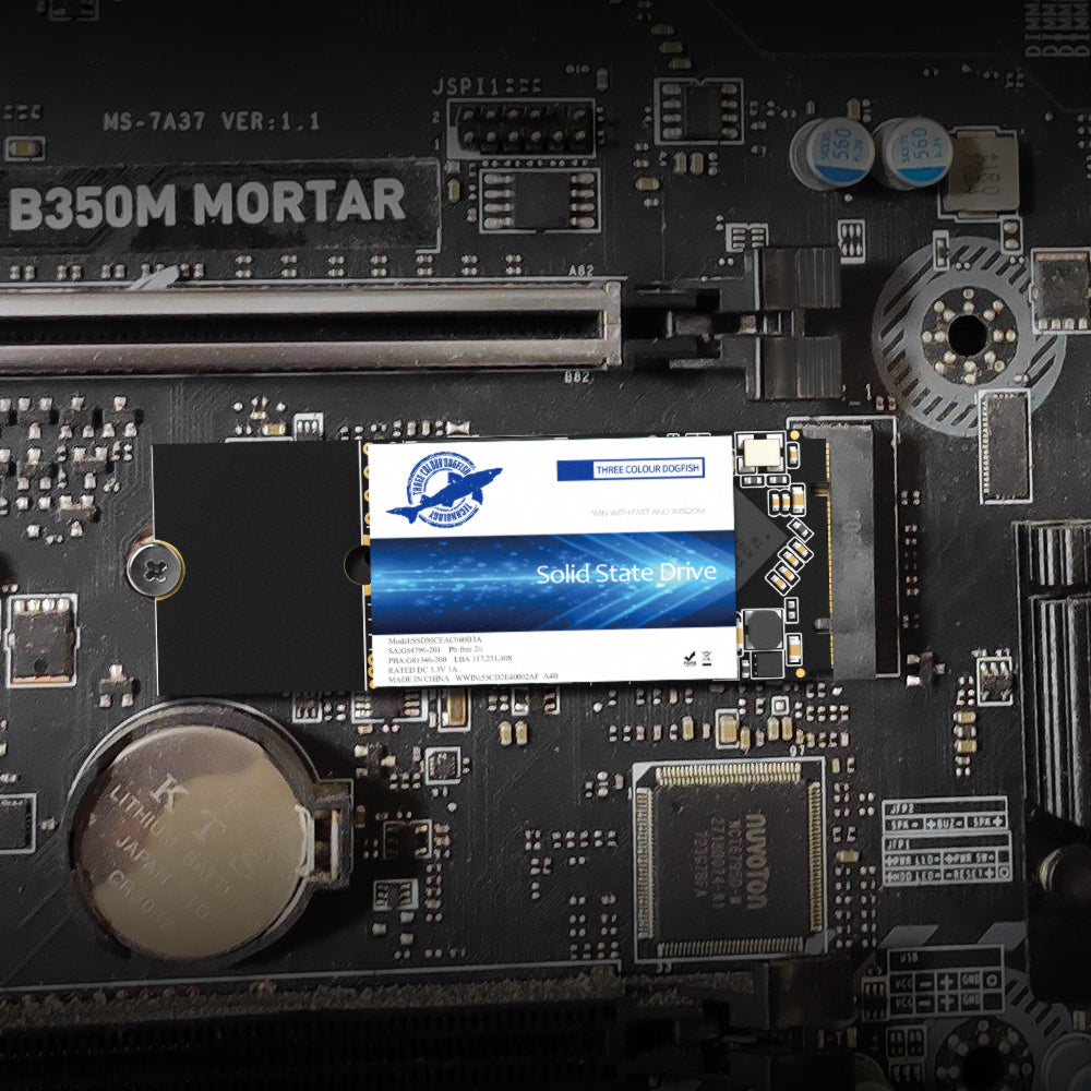 THREE COLOUR DOGFISH M.2 2260 SSD Sata NGFF Internal Solid State Drive 60GB—4TB