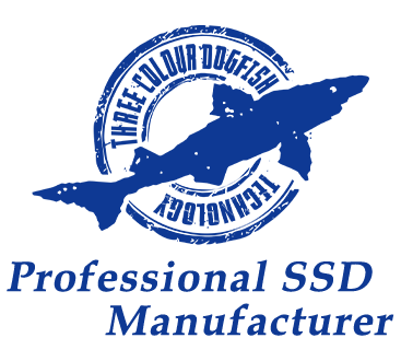 Dogfish SSD M.2 2242 128Go Ngff Ordinateurs De Bureau à l'intérieur De  l'actionneur à SolideDe Haute Performance De Lecteur De Disque Dur Comprend  Un