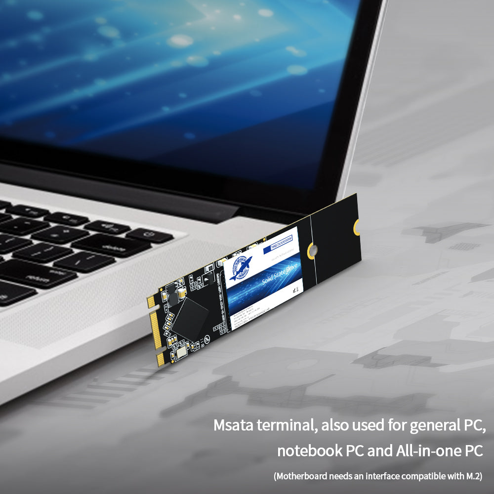 SSD SATA M.2 2280 500 Go Dogfish Ngff Disque dur interne haute performance  pour ordinateur portable SATA III 